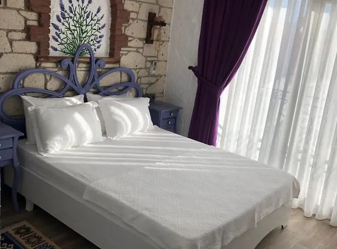 Volta Butik מלון